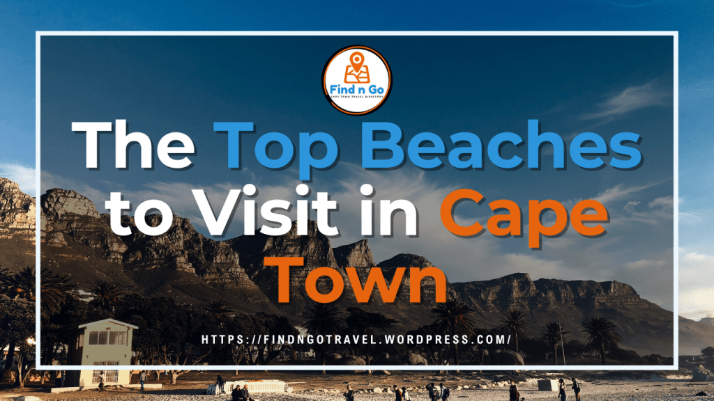 The Top Beaches to Visit in Cape Town
